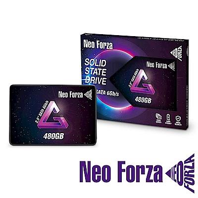 Neoforza 凌航 NFS01 480G