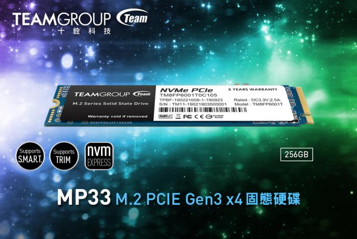 十銓 MP33 256GB M.2 PCIe