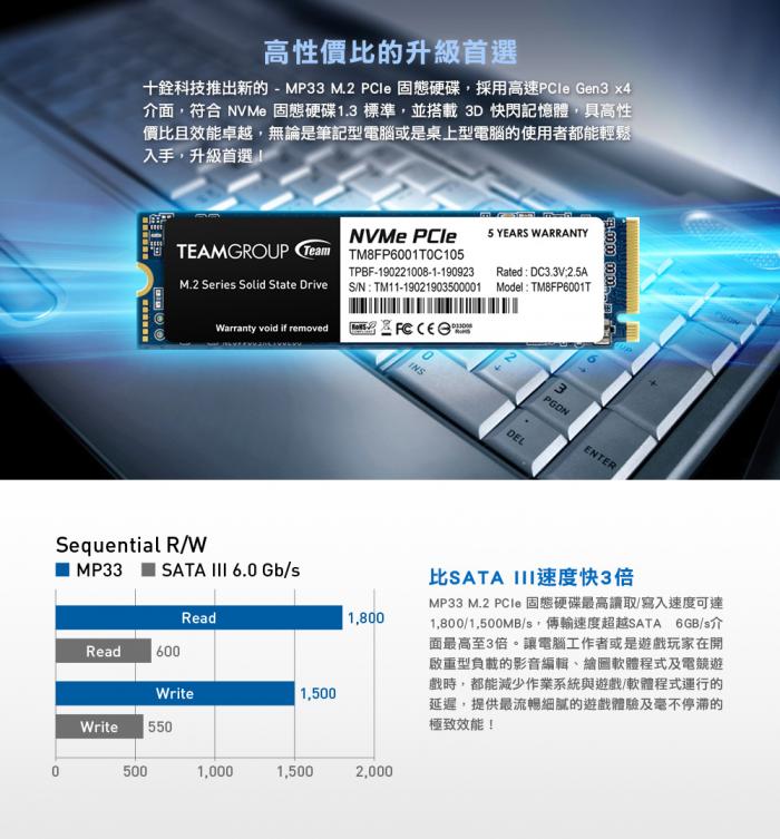 十銓 MP33 256GB M.2 PCIe