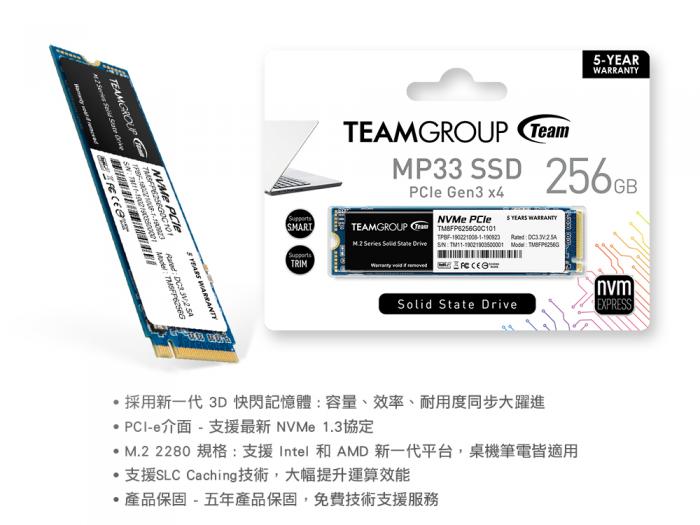 十銓 MP33 256GB M.2 PCIe