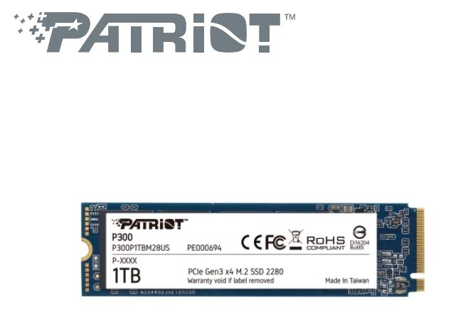 Patriot 美商博帝 P300 1TB M.2 PCIe