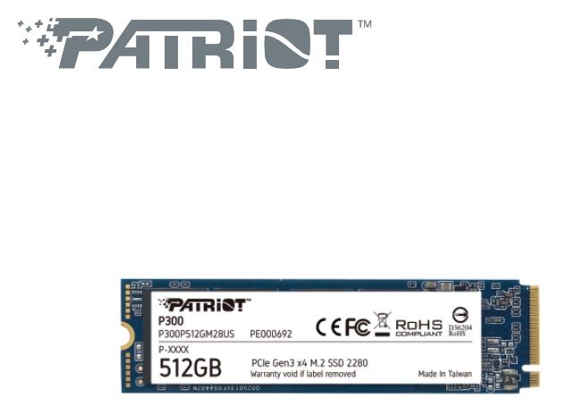 Patriot 美商博帝 P300 512G M.2 PCIe