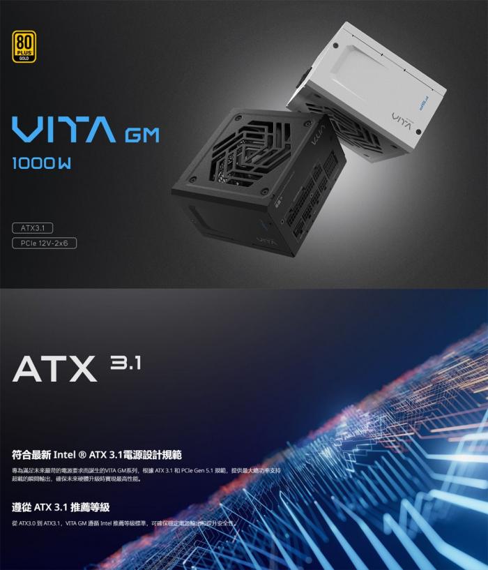 全漢 VITA-1000GM_1000W金牌全模組(MIT)