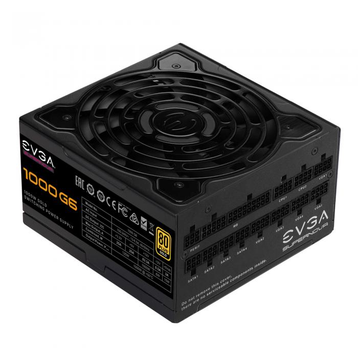 EVGA 艾維克 1000 G6 金牌