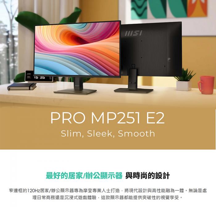 msi PRO MP251  E2  25