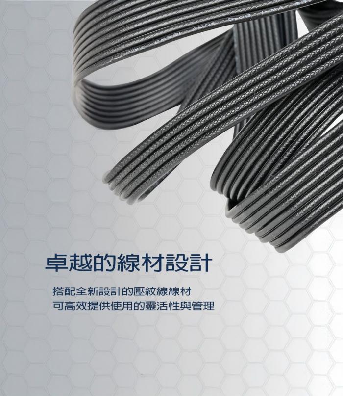銀欣 Triton 650Rx  金牌