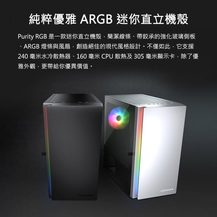 美洲獅 PURITY RGB 迷你機殼 黑色