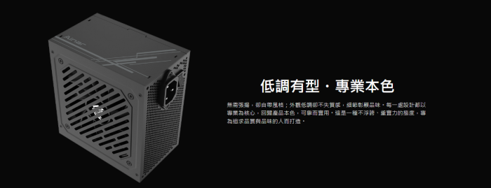 艾納爾  EXPERT EX650 銅牌 扁平線