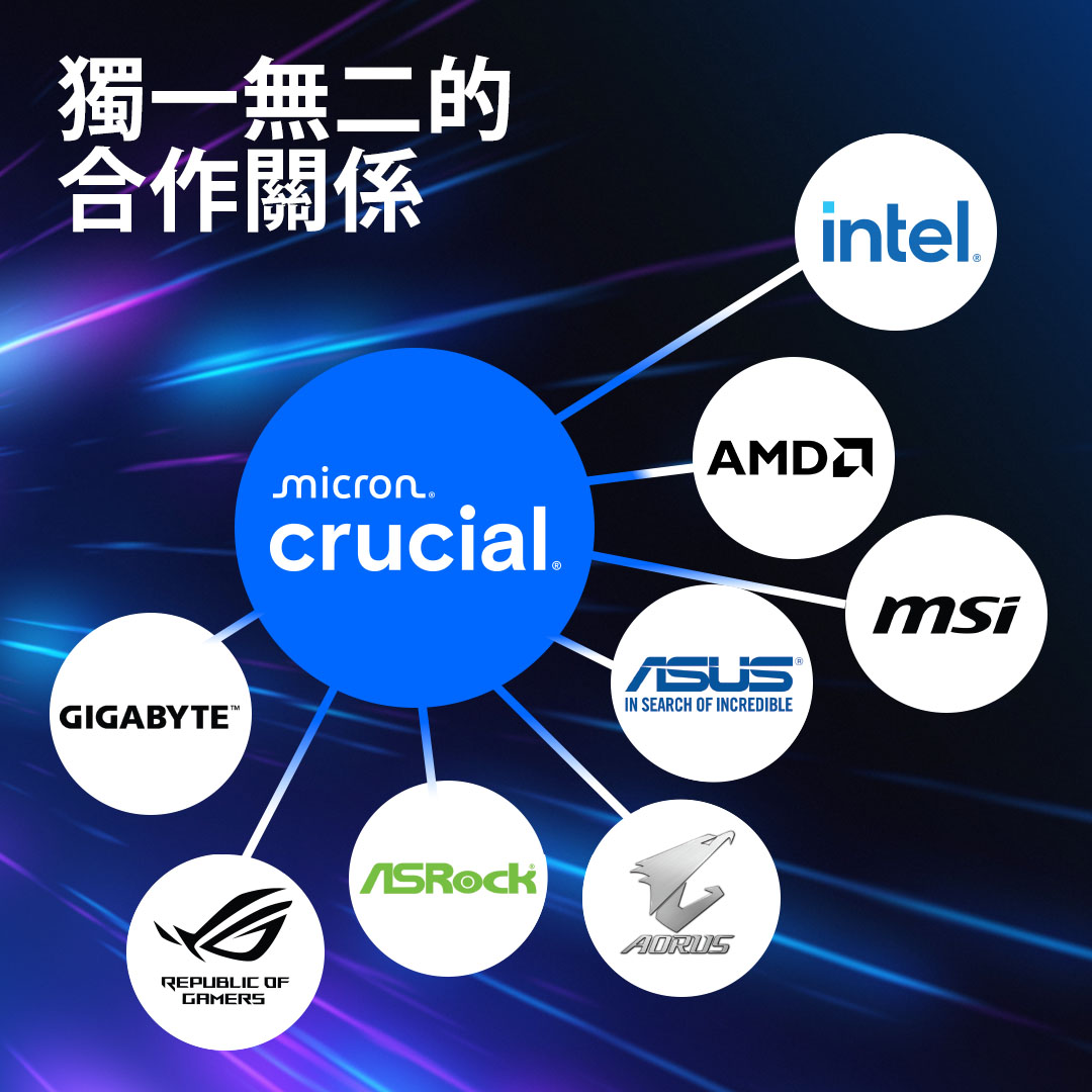 美光 Micron Crucial RPO 單條 32GB DDR5 5600 黑散熱片 泡殼裝