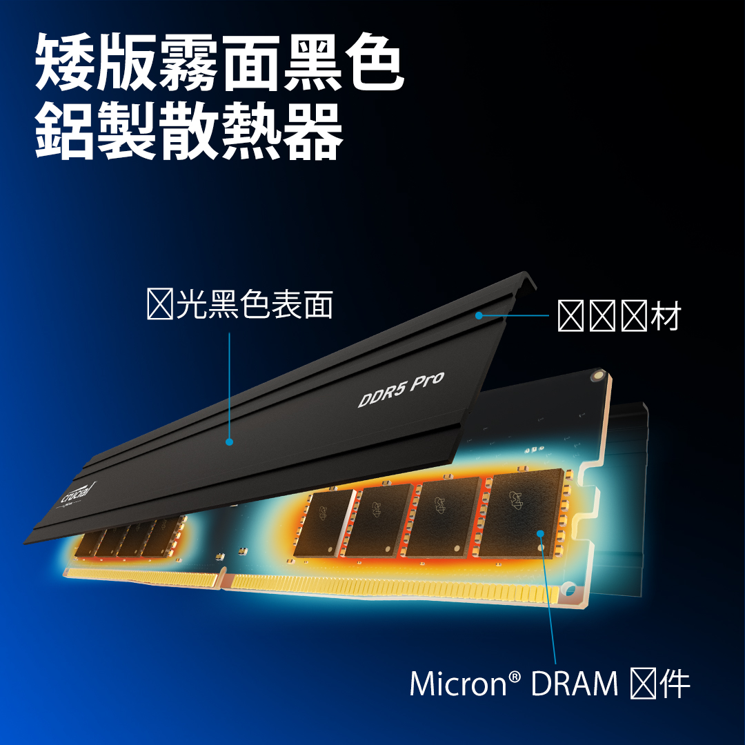 美光 Micron Crucial RPO 單條 32GB DDR5 5600 黑散熱片 泡殼裝